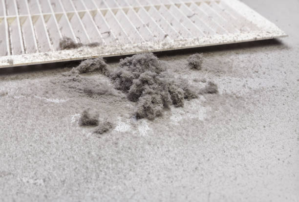 Best Home Air Vent Cleaning  in Cochituate, MA